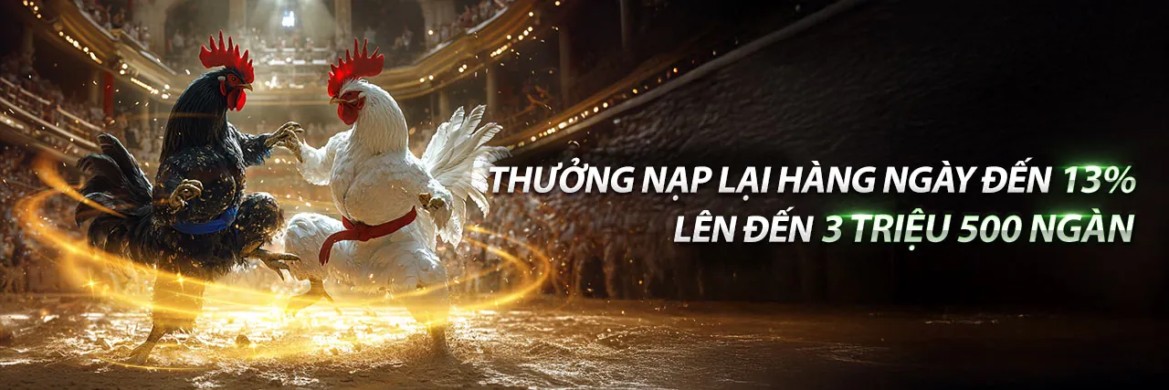Đá Gà Trực Tuyến bsports win